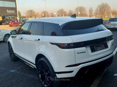 Land Rover Range Rover Evoque Land Rover Range Rover Evoque D 165 MHEV R-Dynamic R #9009 Bianco usata Venaria Reale