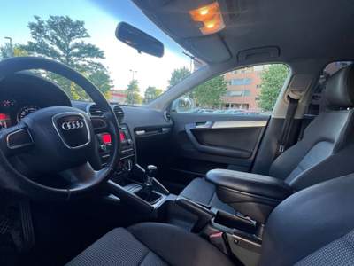 Audi A3 SPB 2.0 TDI F.AP. quattro Ambition Bianco usata Torino