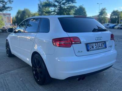 Audi A3 SPB 2.0 TDI F.AP. quattro Ambition Bianco usata Torino