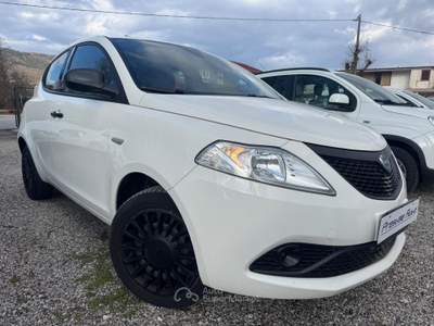 Lancia Ypsilon ELEFANTINO BLU Bianco usata Isernia