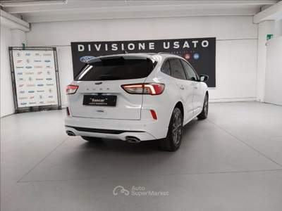 Ford Kuga 1.5 ecoblue ST-Line X 2wd 120cv Bianco usata Modena