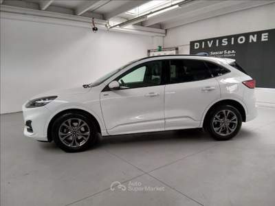 Ford Kuga 1.5 ecoblue ST-Line X 2wd 120cv Bianco usata Modena