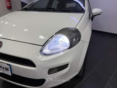 Fiat Punto 1.4 8V 5 porte Natural Power Easy Bianco usata Aversa