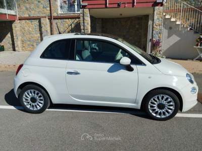 Fiat 500 500 bianca perfette condizioni Bianco usata CALDANA DI GAVORRANO