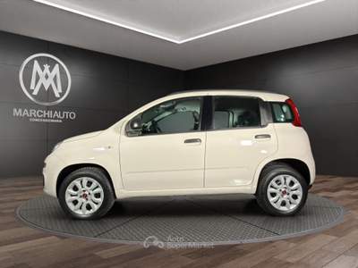Fiat Panda 0.9 TwinAir Turbo Natural Power Easy Beige usata Bastia Umbra