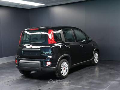 Fiat Panda 1.0 FireFly S&S Hybrid Nero usata Arsiè