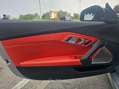 BMW Z4 Z4 M Z4 sDrive30i M- pedoni/matrix/led/19.p/camera/m-technic Argento usata Savigliano