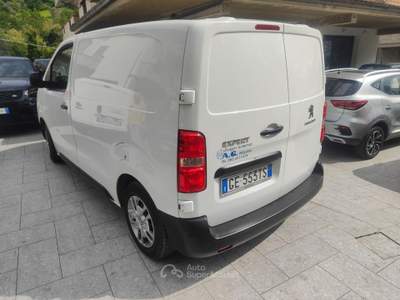 Peugeot Expert 1.5 BlueHDi 120 PC-TN Furgone Premium _COIBENDATO Bianco usata Cappelle sul Tavo