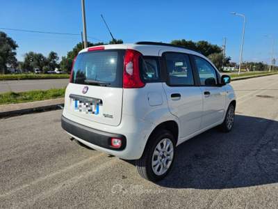 Fiat Panda 0.9 TwinAir Turbo Natural Power Pop AUTOVETTURA Bianco usata Maruggio