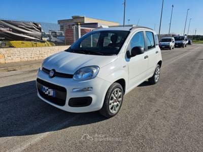 Fiat Panda 0.9 TwinAir Turbo Natural Power Pop AUTOVETTURA Bianco usata Maruggio