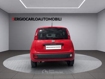 Fiat Panda ottime condizioni usata Naso