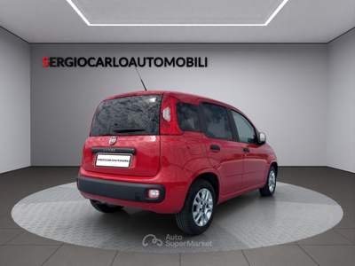 Fiat Panda ottime condizioni usata Naso