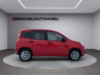 Fiat Panda ottime condizioni usata Naso