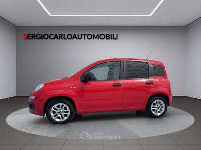 Fiat Panda ottime condizioni usata Naso