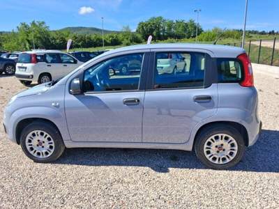 Fiat Panda Panda 1.2 Easy Grigio usata Laterina