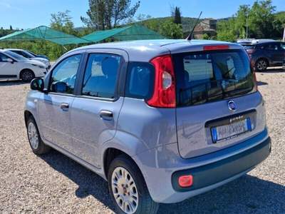 Fiat Panda Panda 1.2 Easy Grigio usata Laterina