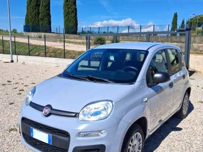Fiat Panda Panda 1.2 Easy Grigio usata Laterina