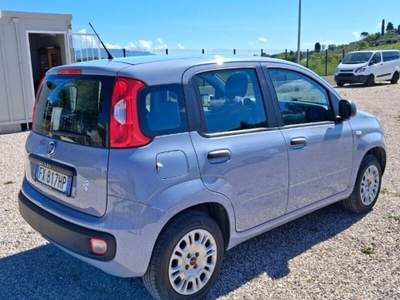 Fiat Panda Panda 1.2 Easy Grigio usata Laterina