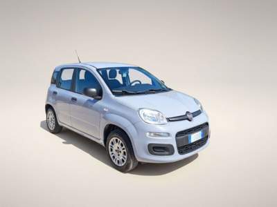 Fiat Panda Panda 1.2 Easy Grigio usata Laterina