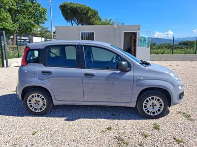 Fiat Panda Panda 1.2 Easy Grigio usata Laterina
