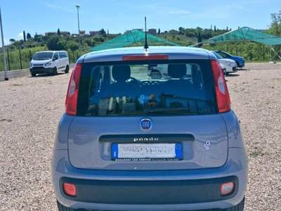 Fiat Panda Panda 1.2 Easy Grigio usata Laterina