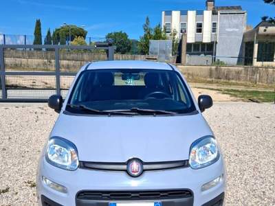 Fiat Panda Panda 1.2 Easy Grigio usata Laterina
