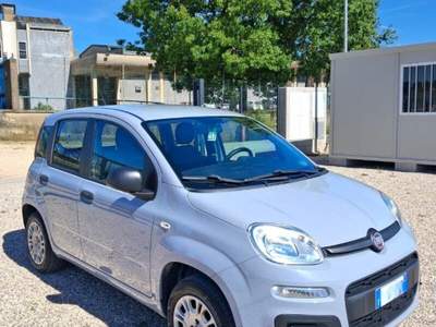 Fiat Panda Panda 1.2 Easy Grigio usata Laterina