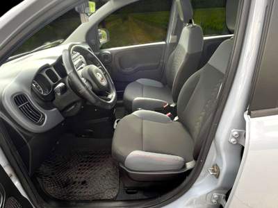 Fiat Panda Panda 1.2 Easy Grigio usata Laterina