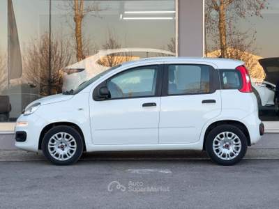 Fiat Panda Pop usata Paese