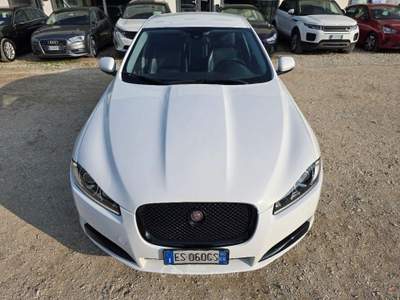Jaguar XF  2.2 D Eco Prestige usata Pesaro