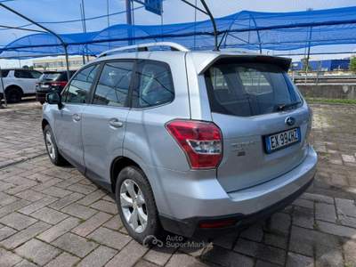 Subaru Forester Trend usata Tavagnacco