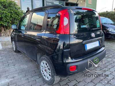 Fiat Panda 1.3 mjt 16v Pop 75cv usata San Giorgio del Sannio