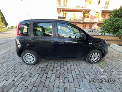 Fiat Panda 1.3 mjt 16v Pop 75cv usata San Giorgio del Sannio