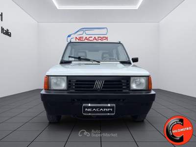 Fiat Panda 1.1 YOUNG OTTIME CONDIZIONI- Argento usata Martignana di Po