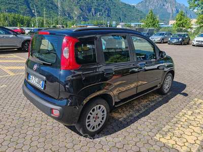 Fiat Panda FIAT PANDA LOUNGE 1300 MJT 75 CAVALLI EURO 5 B Nero usata Pian Camuno