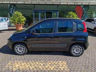Fiat Panda FIAT PANDA LOUNGE 1300 MJT 75 CAVALLI EURO 5 B Nero usata Pian Camuno