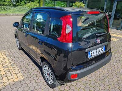 Fiat Panda FIAT PANDA LOUNGE 1300 MJT 75 CAVALLI EURO 5 B Nero usata Pian Camuno