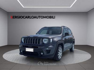 Jeep Renegade auto aziendale Grigio usata Naso