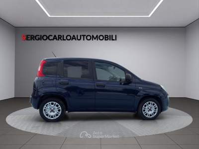 Fiat Panda auto aziendale usata Naso