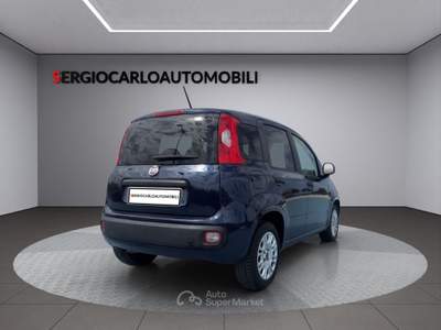 Fiat Panda auto aziendale usata Naso
