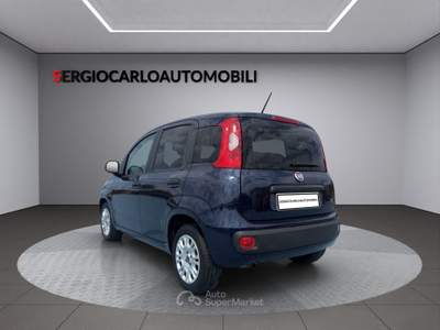 Fiat Panda auto aziendale usata Naso