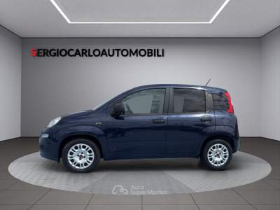 Fiat Panda auto aziendale usata Naso