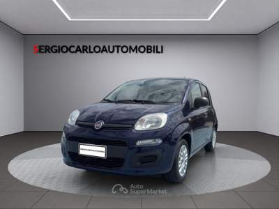 Fiat Panda auto aziendale usata Naso