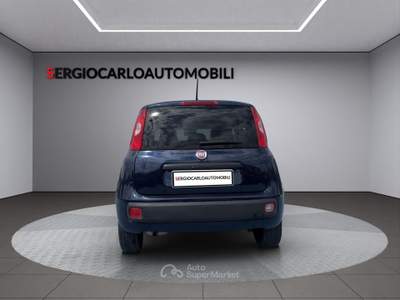 Fiat Panda auto aziendale usata Naso