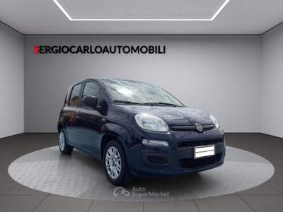 Fiat Panda auto aziendale usata Naso