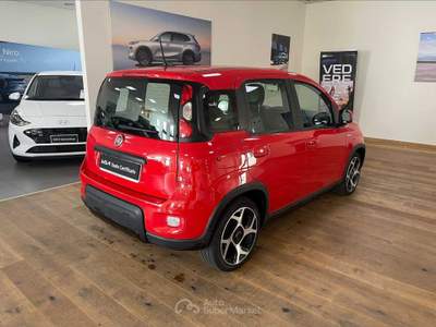 Fiat Panda  - panda 1.2 easypower sport gpl s&s 69cv Rosso usata Cuneo