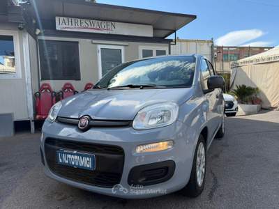 Fiat Panda 1.0 FireFly 70cv S&S Hybrid Grigio usata Nocera Inferiore