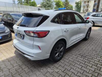 Ford Kuga 1.5 EcoBlue 120 CV aut. 2WD ST-Line X Bianco usata Sesto San Giovanni