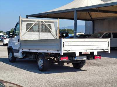 Iveco Daily 35S13 CASSONE FISSO 380 Bianco usata San Salvatore Telesino