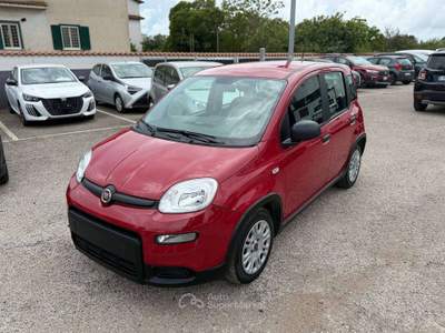 Fiat Panda Panda III 2021 1.0 firefly hybrid s Rosso usata Ardea